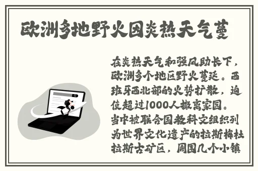 国产精品日本一区二区不卡视频